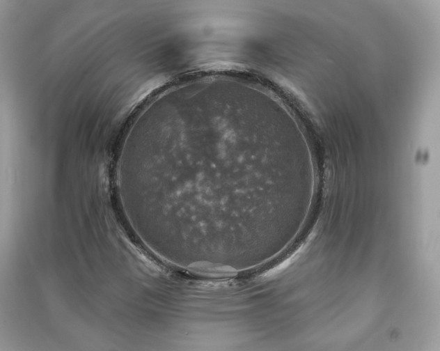 X0000091291305200708101238