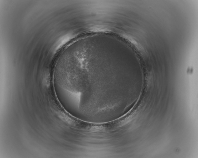 X0000091291306200708101238