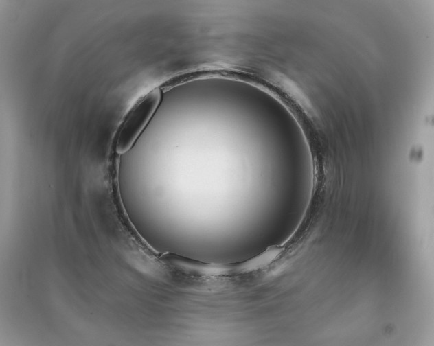 X0000091291308200708101238