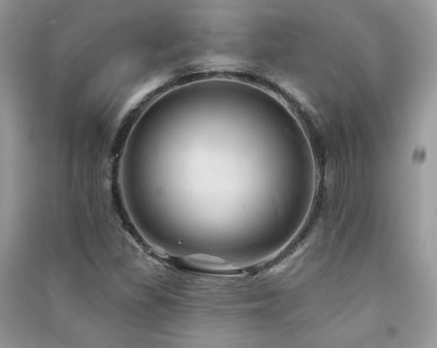 X0000091291309200708101238