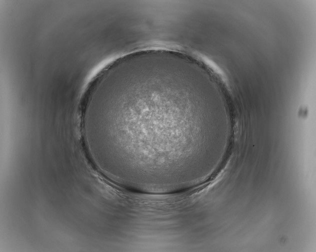 X0000091291310200708101238