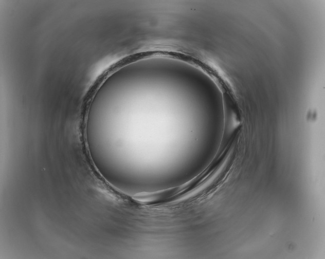 X0000091291312200708101238