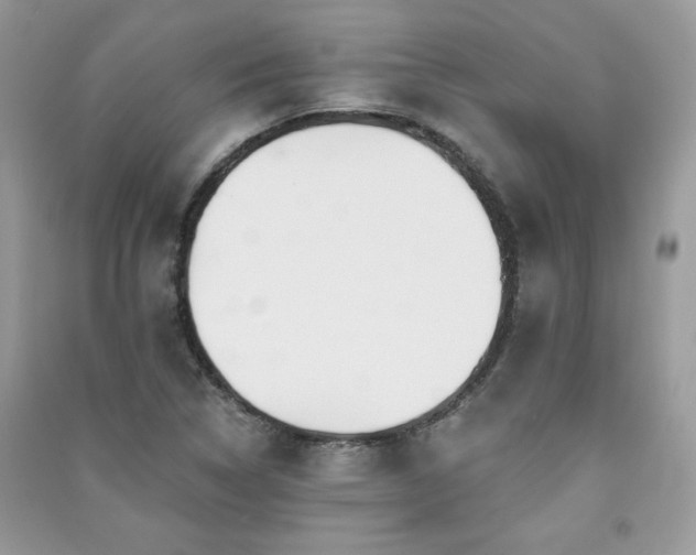 X0000091291314200708101238
