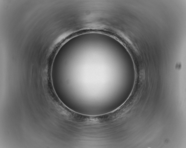 X0000091291315200708101238