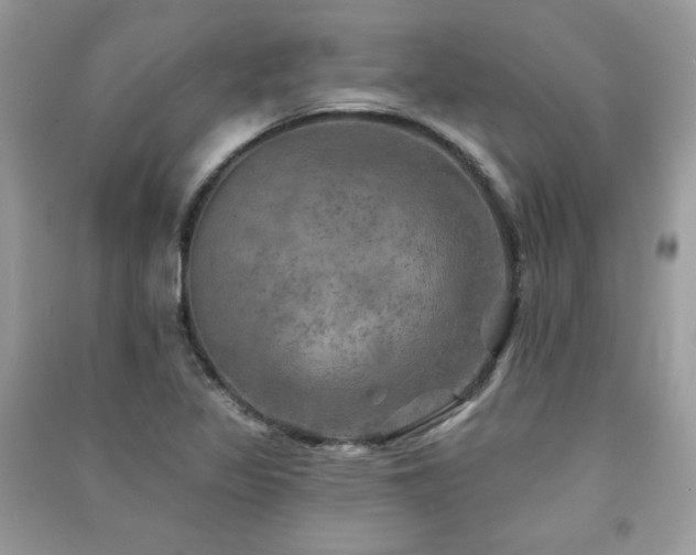X0000091291317200708101238
