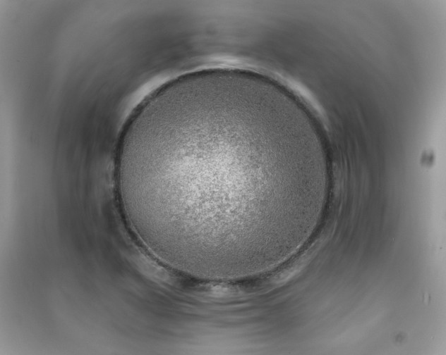 X0000091291318200708101238