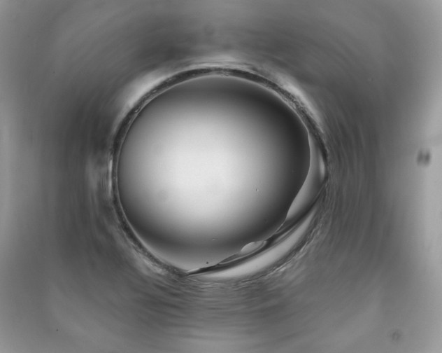 X0000091291320200708101238