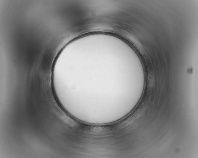 X0000091291322200708101238