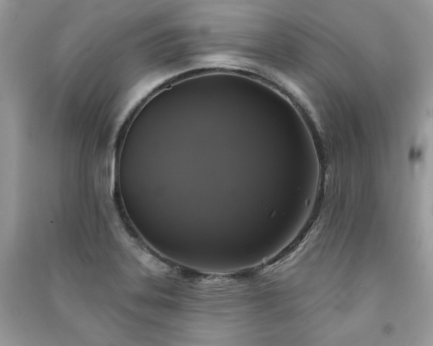 X0000091291323200708101238