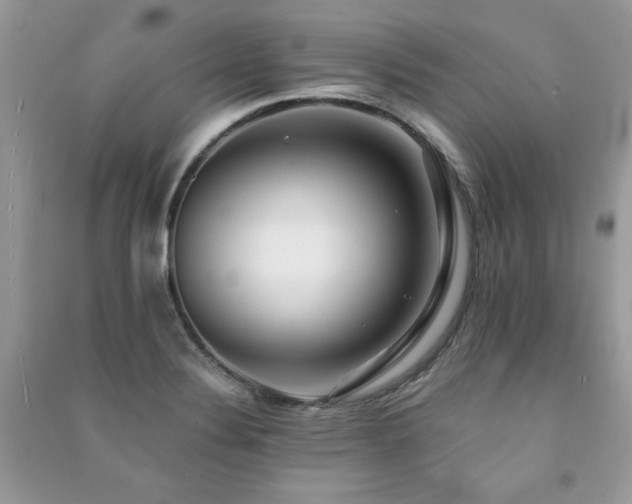 X0000091291324200708101238