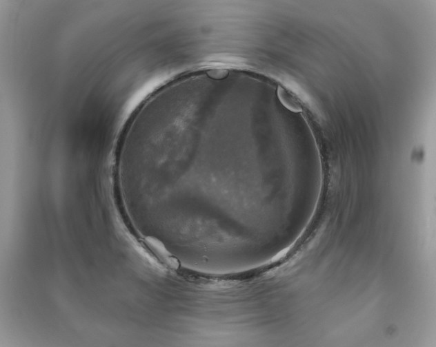 X0000091291325200708101238