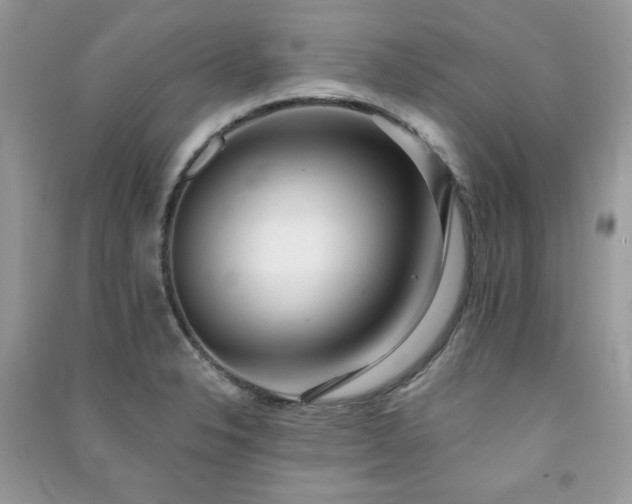 X0000091291326200708101238