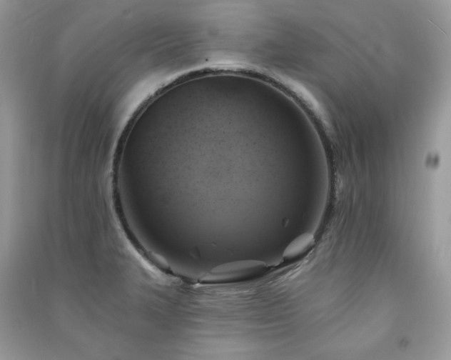 X0000091291327200708101238