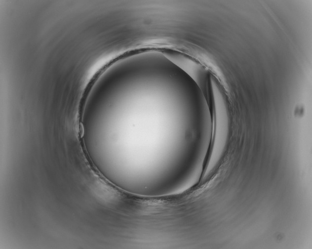 X0000091291328200708101238