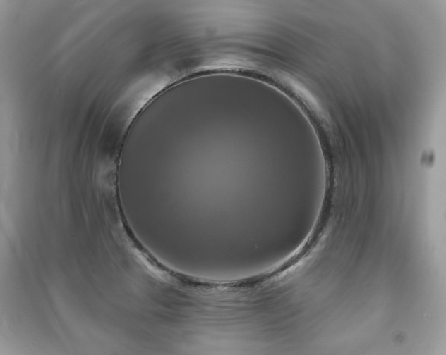 X0000091291329200708101238