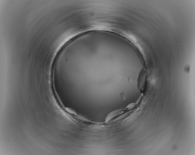 X0000091291331200708101238