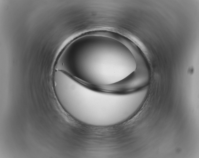 X0000091291332200708101238