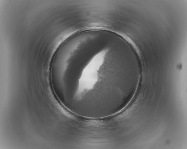 X0000091291333200708101238