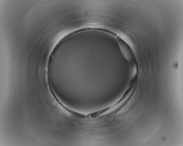 X0000091291334200708101238