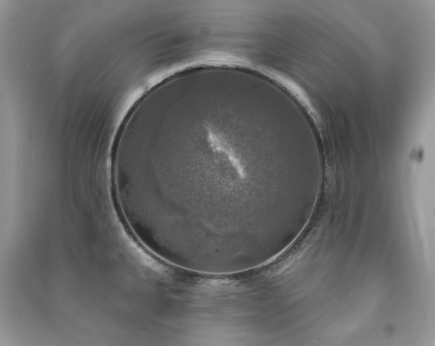 X0000091291335200708101238