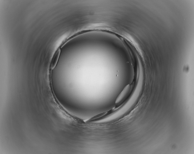 X0000091291336200708101238