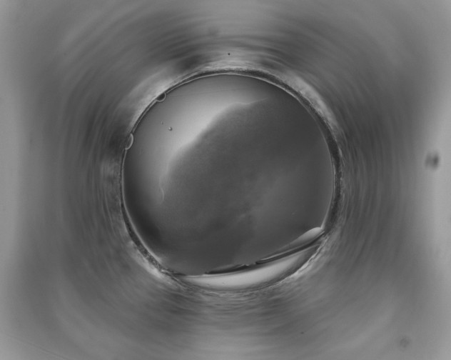 X0000091291337200708101238