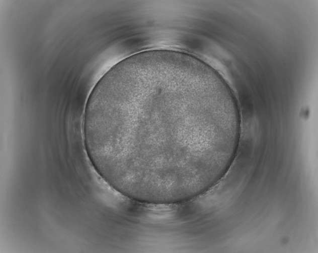X0000091291338200708101238