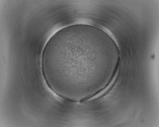X0000091291339200708101238