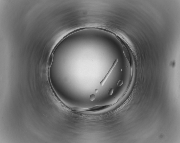 X0000091291340200708101238