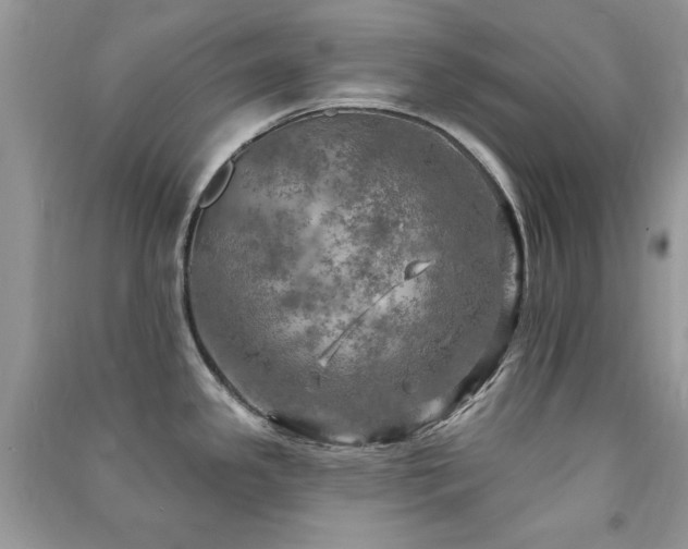 X0000091291341200708101238