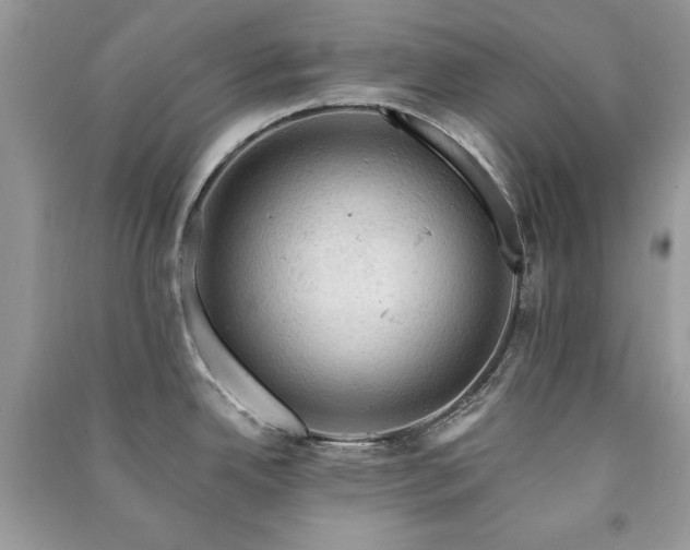 X0000091291342200708101238