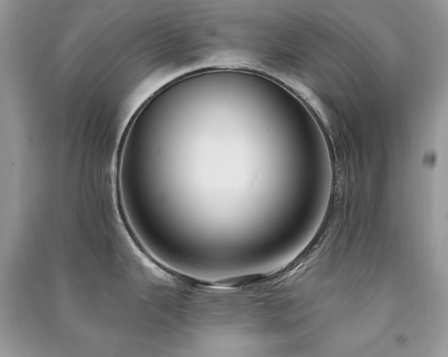 X0000091291343200708101238