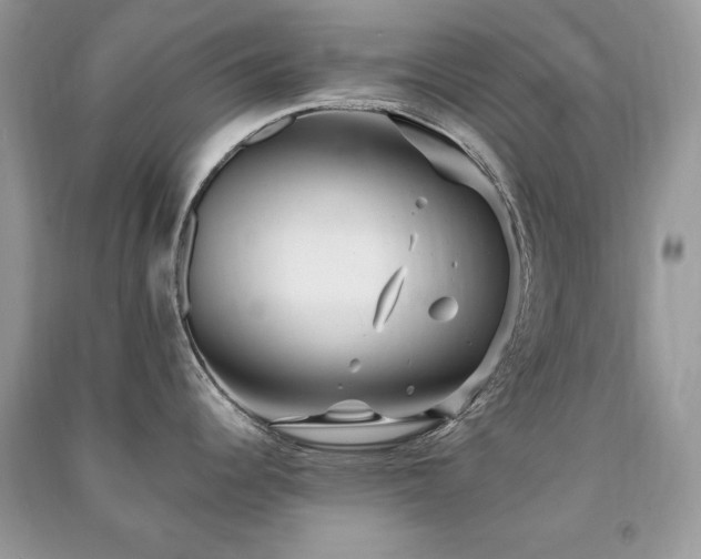 X0000091291344200708101238