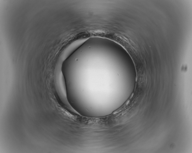X0000091291345200708101238
