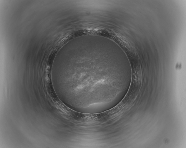 X0000091291346200708101238