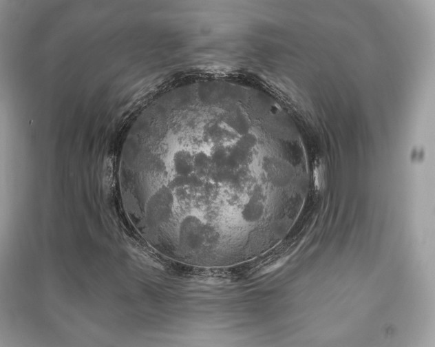 X0000091291347200708101238