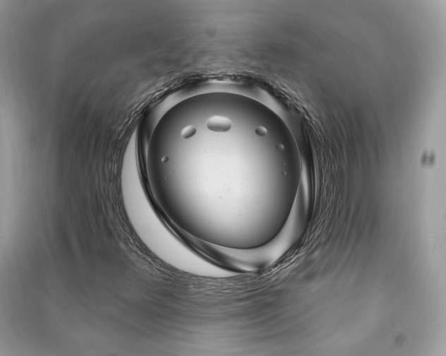 X0000091291348200708101238