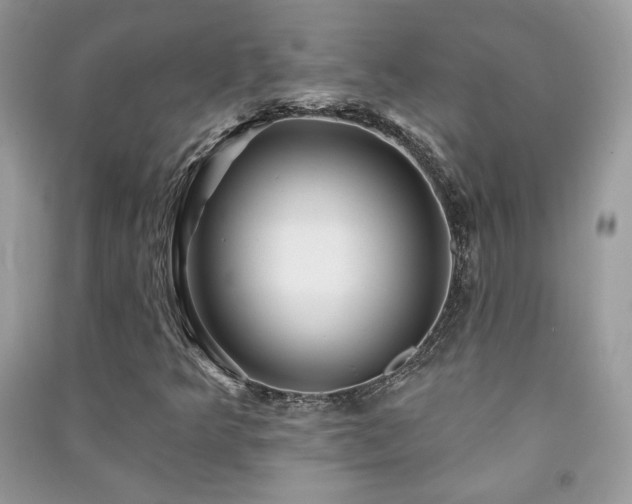 X0000091291349200708101238