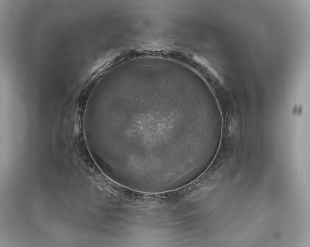 X0000091291350200708101238