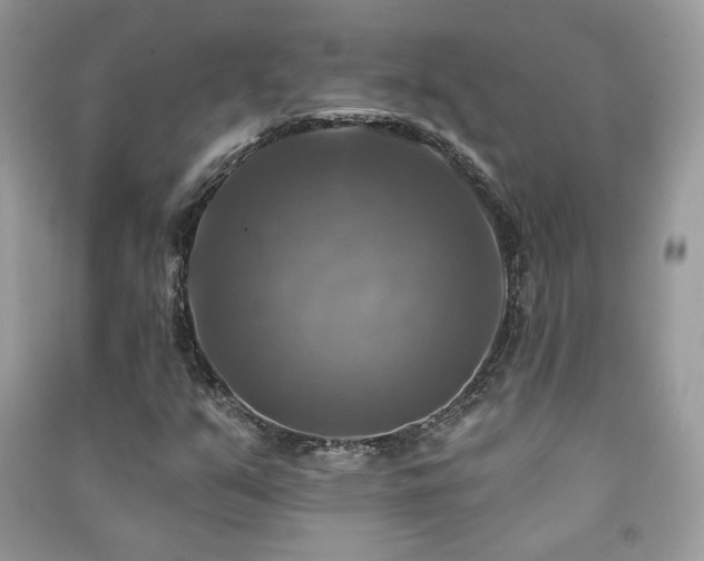 X0000091291351200708101238