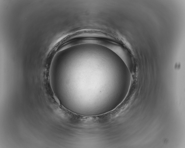 X0000091291352200708101238