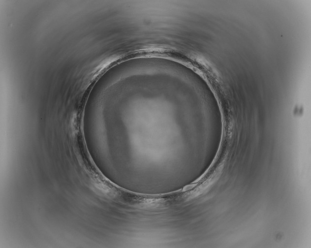 X0000091291353200708101238