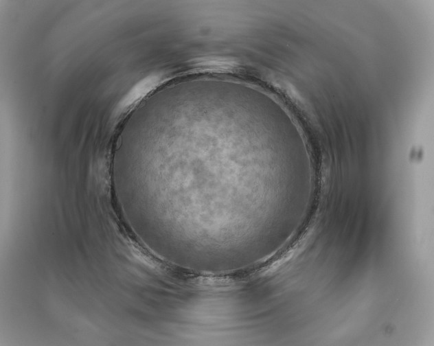 X0000091291354200708101238