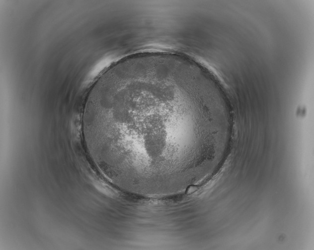 X0000091291355200708101238