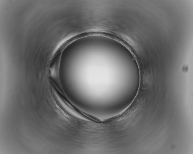 X0000091291356200708101238