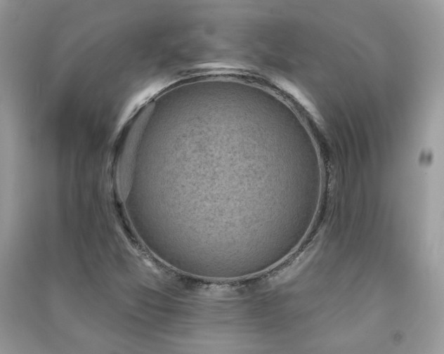 X0000091291357200708101237