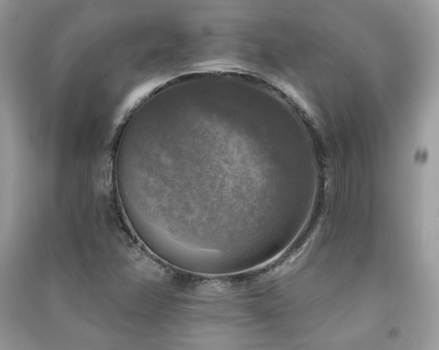 X0000091291358200708101237