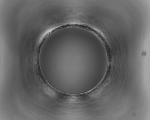 X0000091291359200708101237