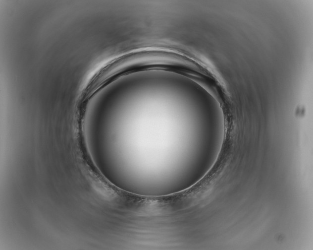 X0000091291360200708101237