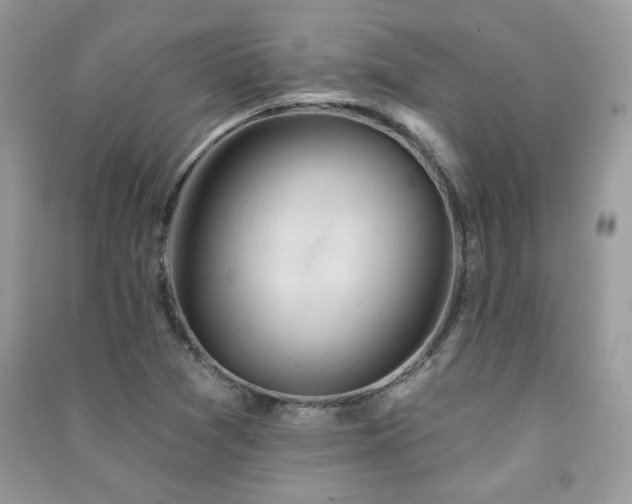X0000091291361200708101237